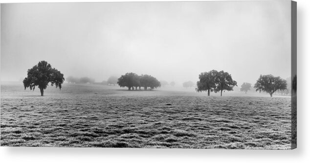 Landscape Acrylic Print featuring the photograph Morning Fog by Howard Salmon