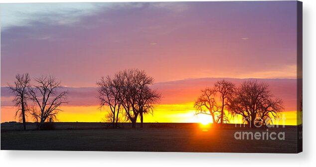 Sunrise Acrylic Print featuring the photograph Trees Watching the Sunrise Panorama View by James BO Insogna