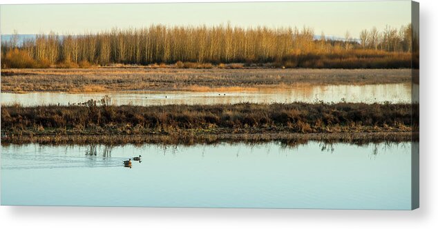 Ankeny Acrylic Print featuring the photograph Ankeny Reflections by Nick Boren