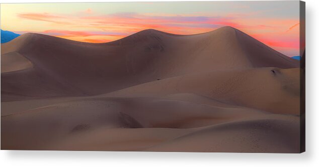 Death Valley Acrylic Print featuring the photograph Desert Colors by Jonathan Nguyen