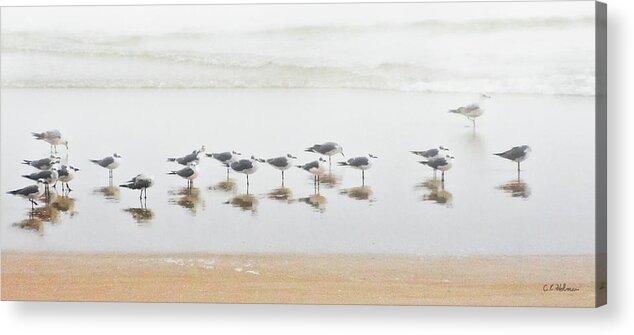 Birds Acrylic Print featuring the photograph Grounded By Fog by Christopher Holmes