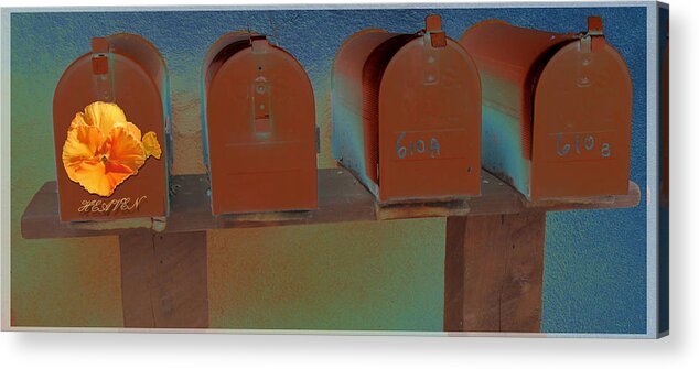 Rusty. Mailboxes. Heaven Acrylic Print featuring the photograph Heaven's Mailbox by Feather Redfox