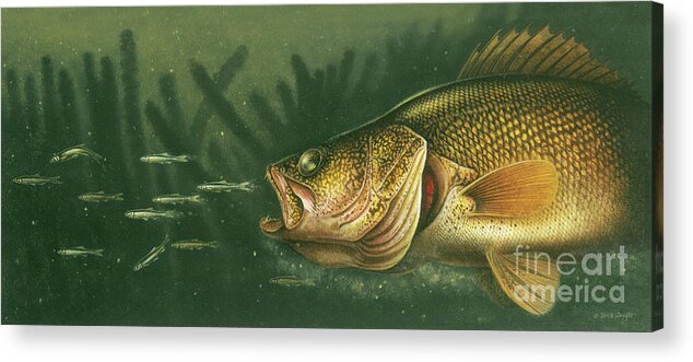 Jon Q Wright Acrylic Print featuring the painting Murky Water Walleye by JQ Licensing