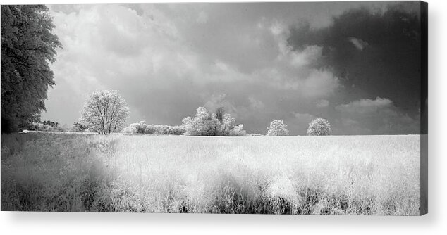 Photograph Acrylic Print featuring the photograph Van Gogh's Field I by T R Maines