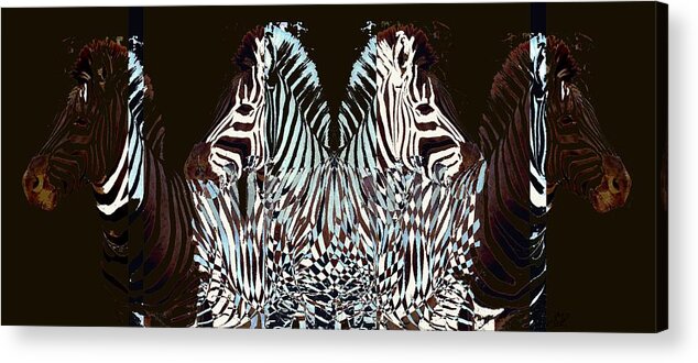 Zebra Acrylic Print featuring the digital art Zebraic Equation by Stephanie Grant