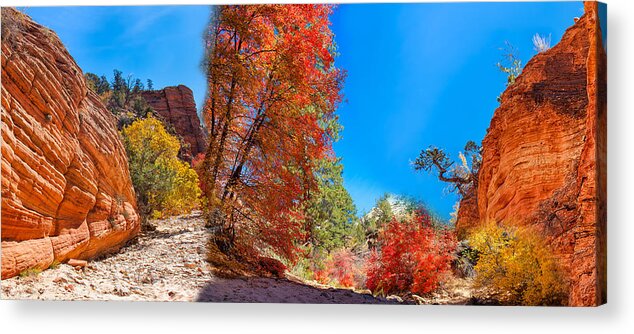 Coffee Acrylic Print featuring the photograph Zion Collage Mug Shot by John M Bailey