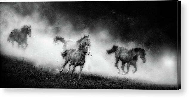 Horses Acrylic Print featuring the photograph Coming Home by Ryan Courson