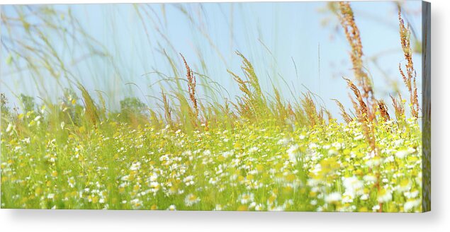 Landscape Acrylic Print featuring the photograph The whirlwind of life by Karine GADRE