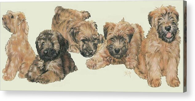 Terrier Group Acrylic Print featuring the mixed media Soft-coated Wheaten Terrier Puppies by Barbara Keith