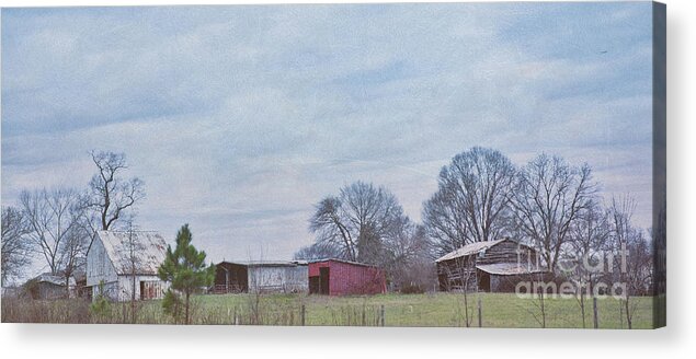 Farm Acrylic Print featuring the digital art Alexander Farms by Amy Dundon