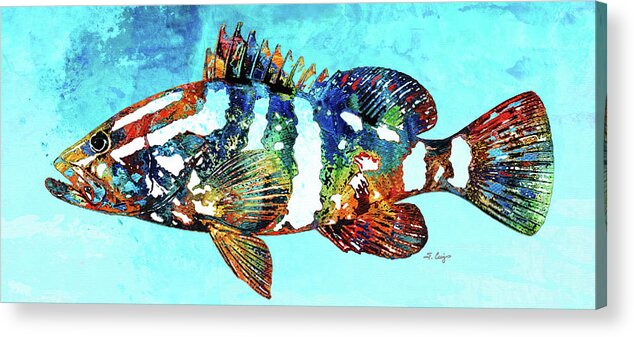 Fish Acrylic Print featuring the painting Colorful Grouper Fish On Blue by Sharon Cummings