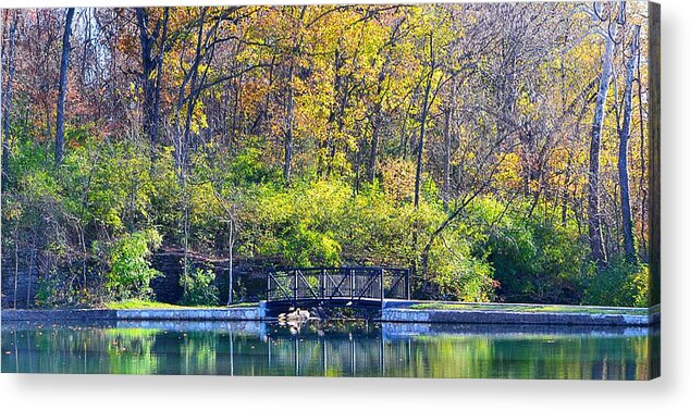 Scenery Acrylic Print featuring the photograph Sequiota Park by Deena Stoddard
