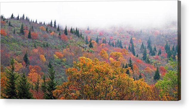 Duane Mccullough Acrylic Print featuring the photograph Blueridge Parkway view at mm 240 #2 by Duane McCullough