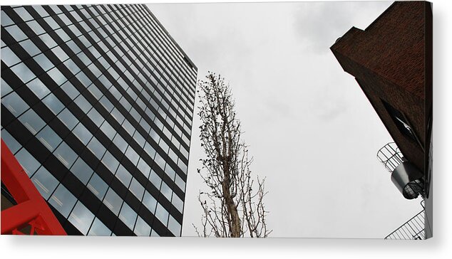Street Photography Acrylic Print featuring the photograph Plastic Trees #2 by J C