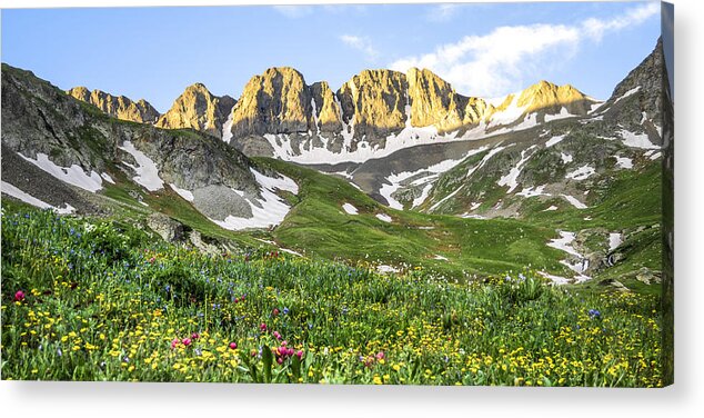 American Basin Acrylic Print featuring the photograph American Basin Wildflowers by Aaron Spong