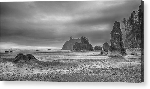 Landscape Acrylic Print featuring the photograph Beauty in Grey by James Heckt