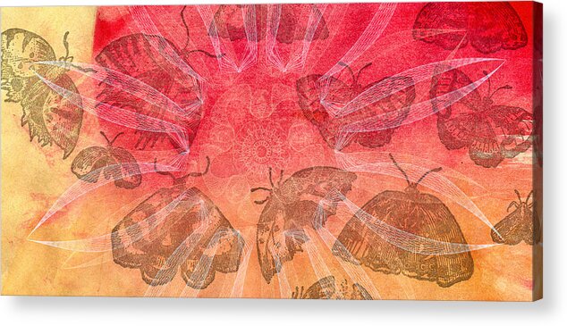 Butterfly Acrylic Print featuring the digital art Butterfly Letterpress Watercolor by Kyle Hanson