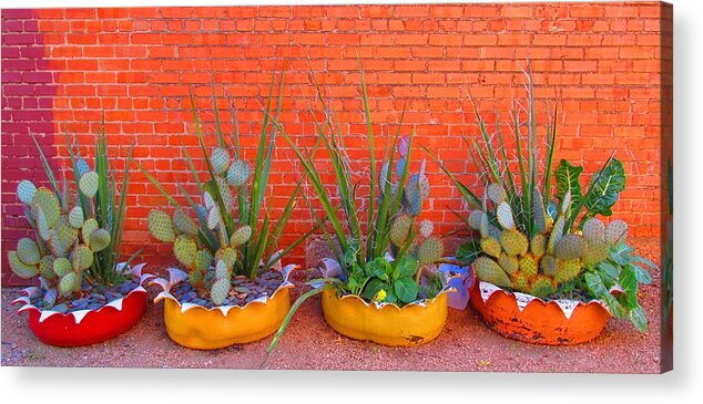 Cactus Acrylic Print featuring the digital art Cacti Quartet by Alec Drake