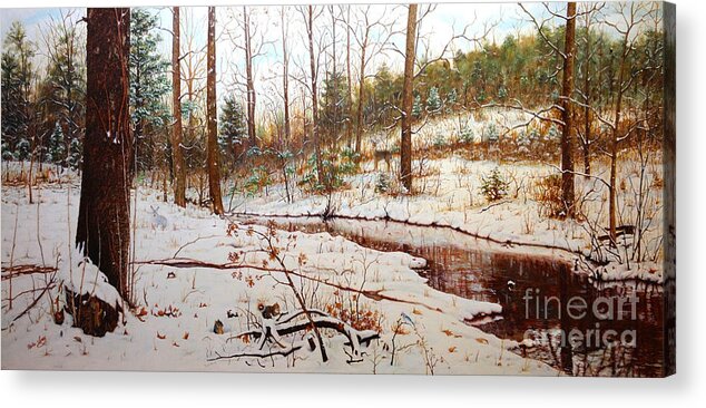 Photo Stream Acrylic Print featuring the painting Cold Creek Arkansas by Mike Ivey