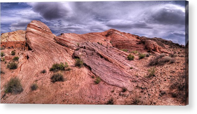Valley Of Fire Acrylic Print featuring the photograph Desert Tortoise by Stephen Campbell