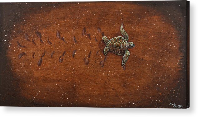 Turtle Acrylic Print featuring the painting First Journey by Emily Brantley