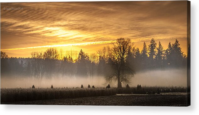 Landscape Acrylic Print featuring the photograph Foggy Sunrise by Cassius Johnson