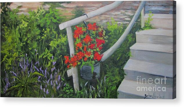 Red Gerianiums Acrylic Print featuring the painting Gerianiums and Steps by Barbara Haviland