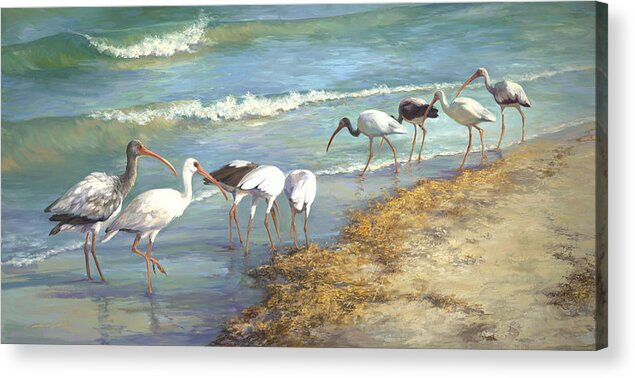 Ibis Acrylic Print featuring the painting Ibis on Marco Island by Laurie Snow Hein