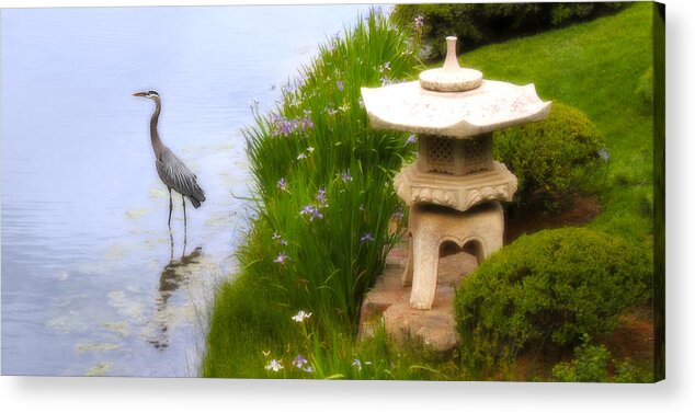 Pond Acrylic Print featuring the photograph In A Dream World by Milena Ilieva