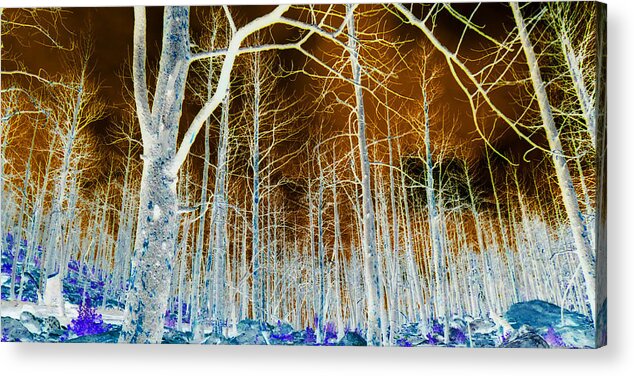 Altered Acrylic Print featuring the photograph It Is Only A Dream by Thomas Samida