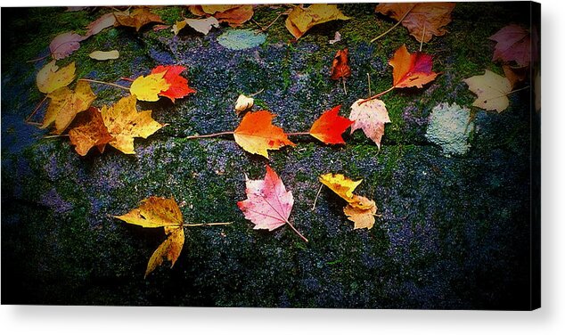 Fine Art Acrylic Print featuring the photograph Leaves on Rock by Rodney Lee Williams