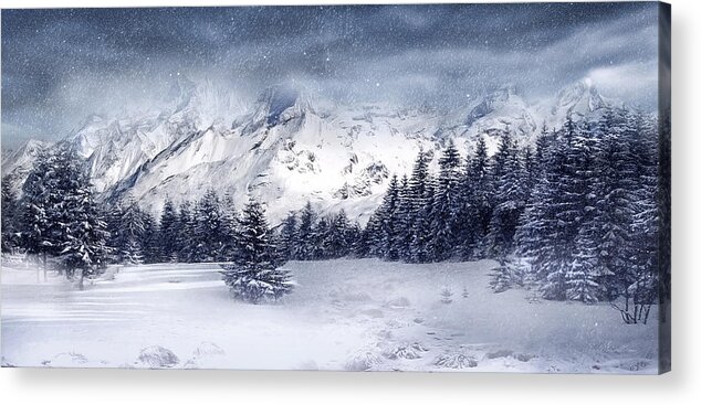 Beautiful Acrylic Print featuring the digital art Let it Snow by Svetlana Sewell