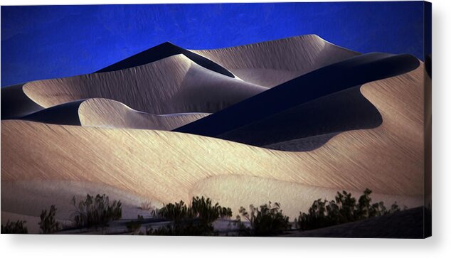 Death Valley Acrylic Print featuring the photograph M E S Q U I T E D by Joe Schofield