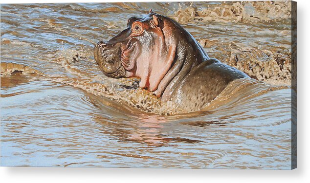 Hippo Acrylic Print featuring the digital art Mara River Hippo by Aaron Blaise