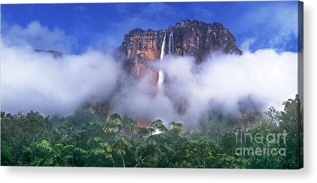 South America Acrylic Print featuring the photograph Panorama Angel Falls Canaima National Park Veneziuela by Dave Welling