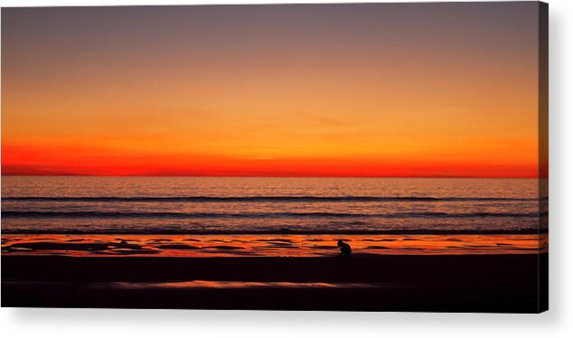 Tranquility Acrylic Print featuring the photograph Sunset At Cable Beach by Timothylui1105