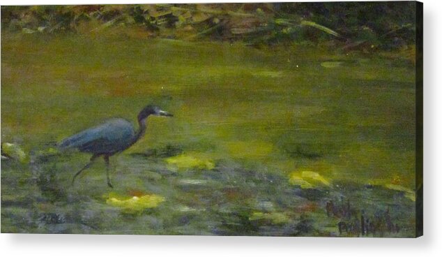 Little Blue Heron Acrylic Print featuring the painting Taking A Walk by Paula Pagliughi