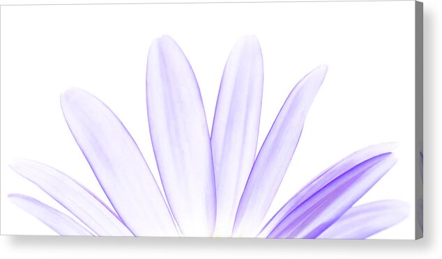 Floral Acrylic Print featuring the photograph The Purple In Your Soul by Sandra Parlow