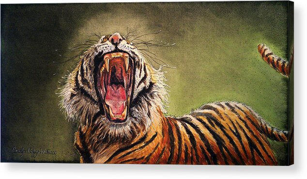 Art Acrylic Print featuring the painting Tiger Yawn by Carolyn Coffey Wallace