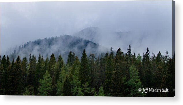 Trees Acrylic Print featuring the photograph Tree top clouds by Jeff Niederstadt