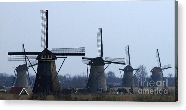 Kinderdijk Windmills Acrylic Print featuring the photograph Kinderdijk Windmills 2 by Bob Christopher