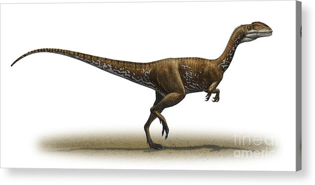 Horizontal Acrylic Print featuring the digital art Megapnosaurus Kayentakatae by Sergey Krasovskiy