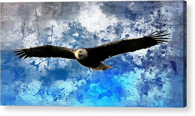 Bald Eagle Acrylic Print featuring the digital art Soaring by Carrie OBrien Sibley