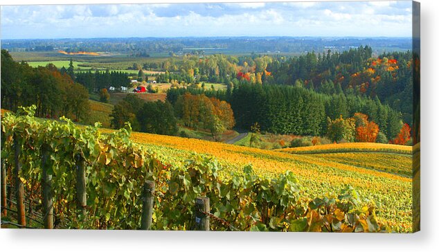 Oregon Wine Country Acrylic Print featuring the photograph Oregon Wine Country #3 by Margaret Hood