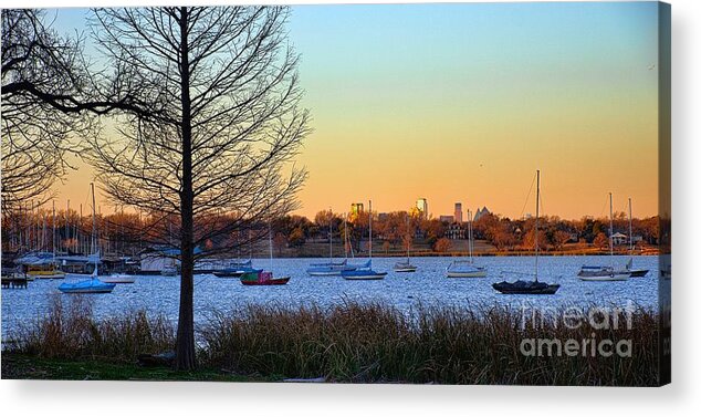 Diana Acrylic Print featuring the photograph A Cold Winter Sunrise by Diana Mary Sharpton