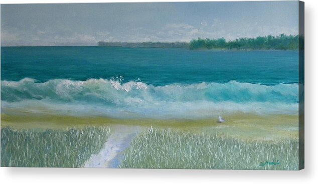 Seascape Landscape Ocean Beach Wave Maine Bird Artist Scott White Acrylic Print featuring the painting Beach Day by Scott W White