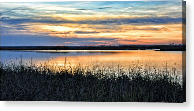 Maryland Acrylic Print featuring the photograph Blackwater Wildlife Refuge - Eastern Shore by Brendan Reals