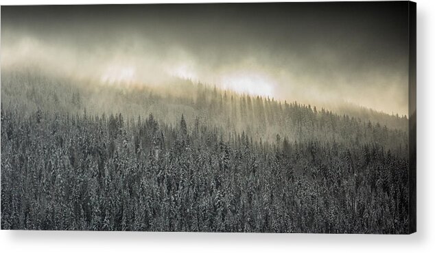 Sunbeams Acrylic Print featuring the photograph Breaking Through The Darkness by Joy McAdams