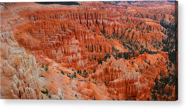 Bryce Canyon Acrylic Print featuring the photograph Bryce Canyon Megapixels by Raymond Salani III
