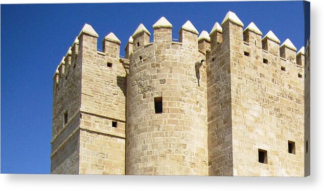 Cordoba Acrylic Print featuring the photograph Cordoba Ancient Castle III Spain by John Shiron